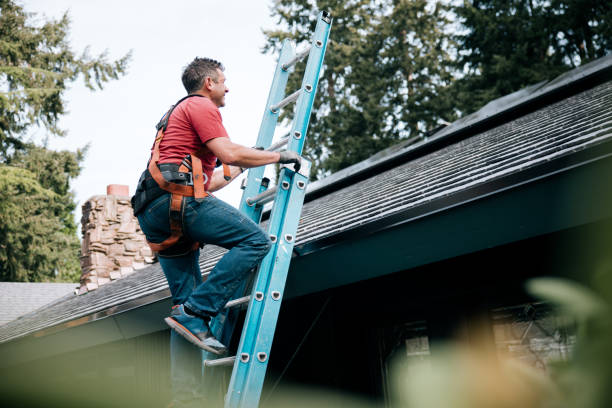 Best Sheet Metal Roofing  in Susanville, CA