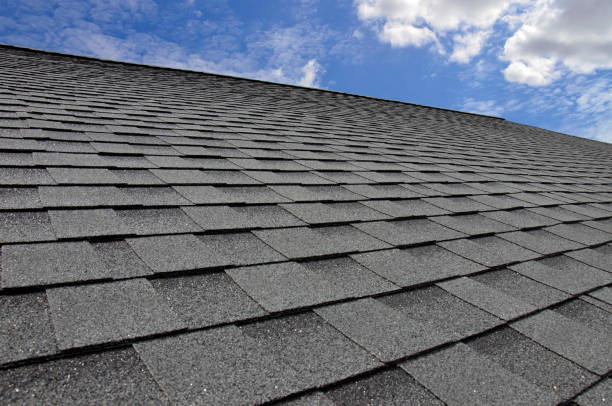 Best Asphalt Shingle Roofing  in Susanville, CA